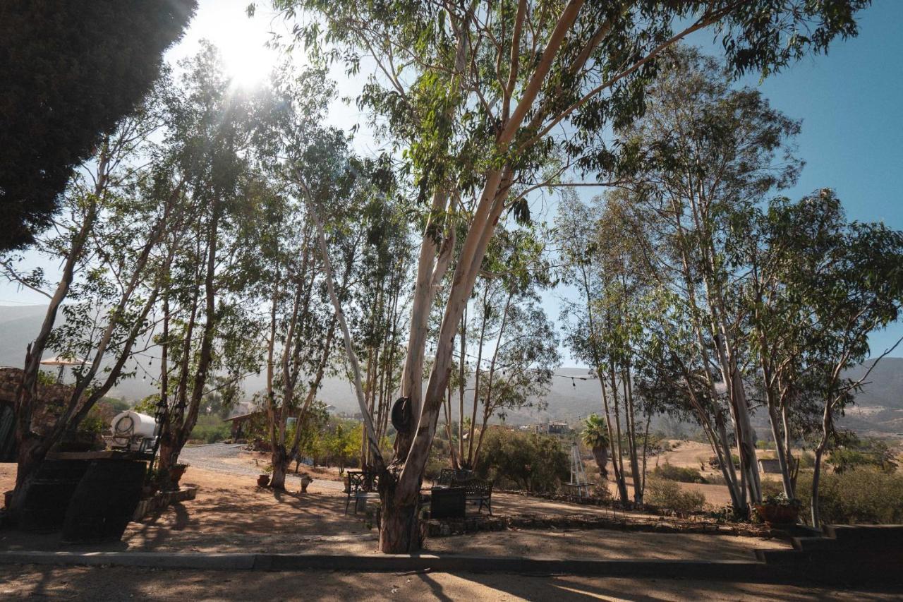 Vina Calabria Bed & Breakfast บาเย เด กัวลาลูเป ภายนอก รูปภาพ
