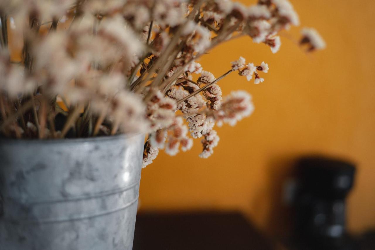Vina Calabria Bed & Breakfast บาเย เด กัวลาลูเป ภายนอก รูปภาพ